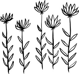 Five flowers are blooming. Vector illustration.