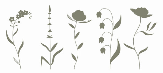 Silhouette botanical graphic drawing, floral elements . © Khulqi Design
