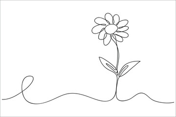 Continuous single line drawing of daisy flower, line art vector illustration