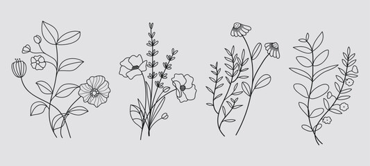 Fototapeta premium Hand drawn floral minimal elements in line art style. Greenery for decoration, wild and garden plants, branches, leaves. Vector illustration