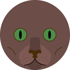 Havana brown cat head icon