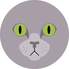 Russian blue cat head icon