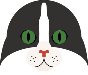 American curl cat head icon
