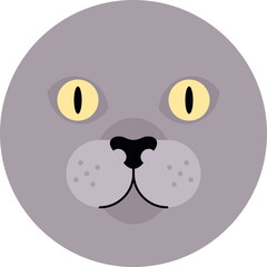 British shorthair cat head icon