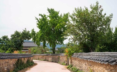 오랜지색 능소화가 핀 전통 한옥마을 골목길