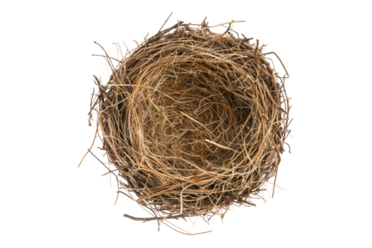 Empty bird nest isolated on transparent background