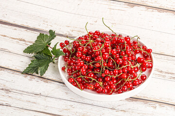 Sweet ripe red currant berries