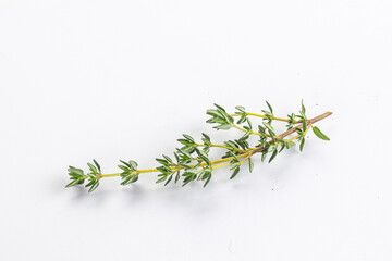 Aroma seasoning thyme stem with leaves
