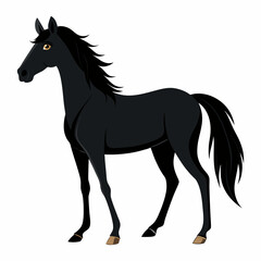 horse illustration