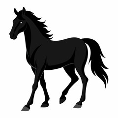 horse illustration