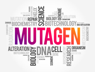 Fototapeta premium Mutagen - anything that causes a mutation (a change in the DNA of a cell), word cloud concept background