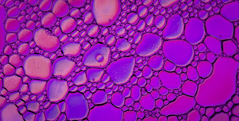 The Enchanting Dance: Free-Flowing Colors in Liquid Art with an Ethereal Touch