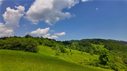 Obraz premium Summertime mountain fields landscape with flowers.