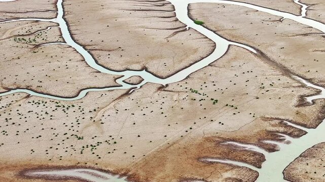 abstract textures of the intertidal zone