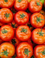 fresh delicious tomato. vegetable sign and symbol. 