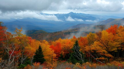 Autumn Mountain View with Fog