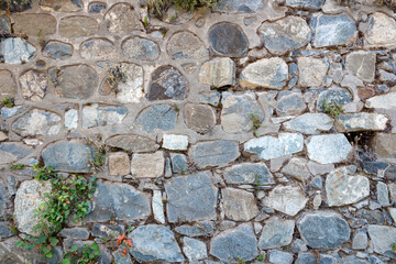 Old rough natural stone wall with plants growing in it