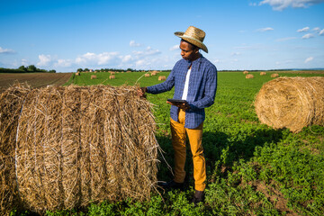 African farmer is standing in his agricultural field. He is cultivating clover and making bales of...