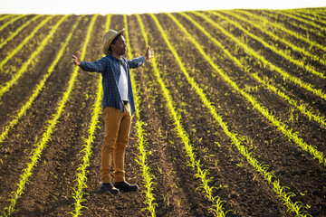 African farmer is standing in his growing corn field. He is satisfied with progress of plants.