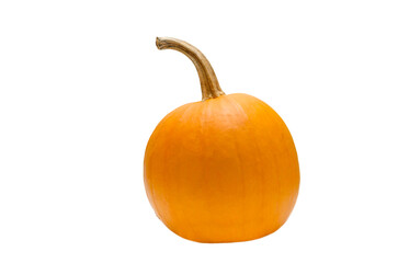 pumpkin isolated on white background