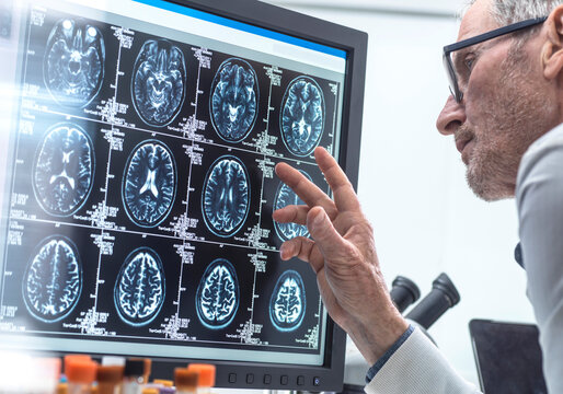 Scientist examining MRI report in laboratory