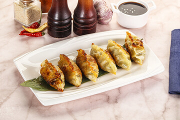 Fried Japanese stuffed dumplings - Gyoza