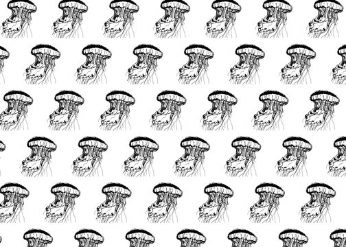 Jellyfishes in row over white background