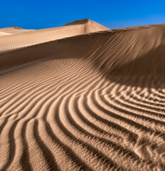sand dunes in the desert