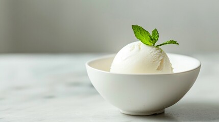 A minimalist dessert featuring a small scoop of gelato in a plain, white bowl with a single mint leaf
