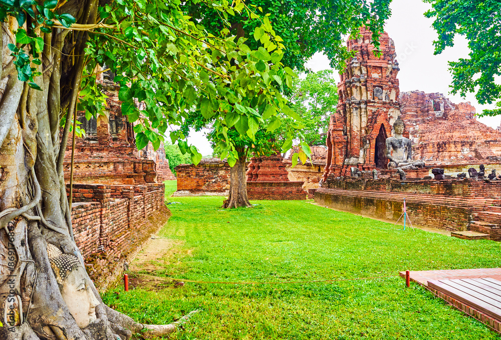 Wall mural Buddha head in tree roots, Wat Mahathat, Ayutthaya, Thailand