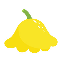 Yellow squash. Patisson pumpkin. Vector illustration.