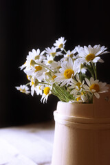 Background with daisies, white chamomile flowers