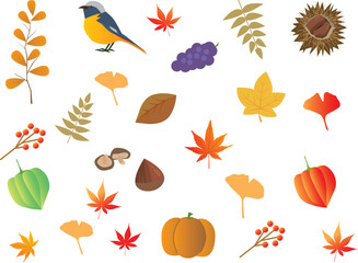 秋の紅葉素材セット