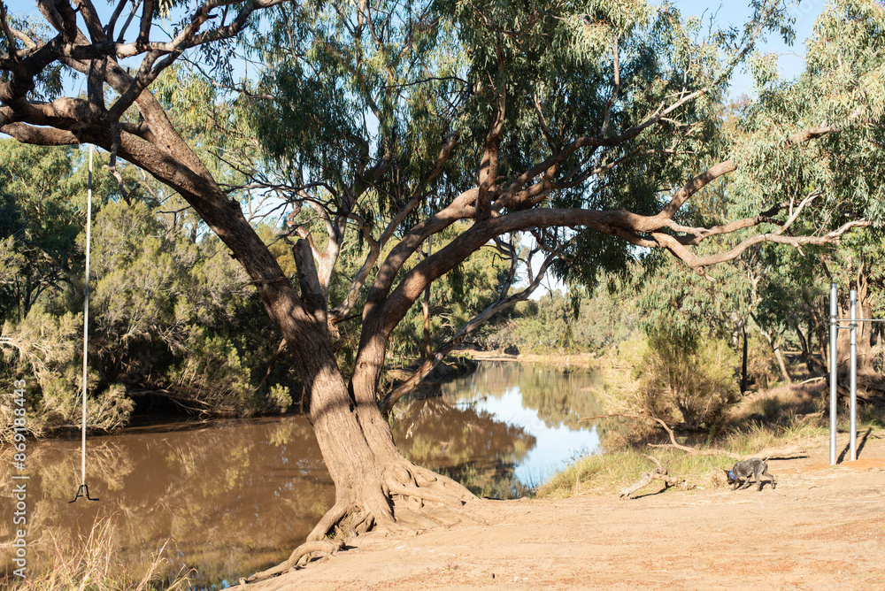 Poster Warrego River in outback Australia