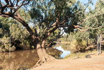 Warrego River in outback Australia