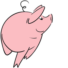 Pig walking and looking to the side, seen from the front smiling and happy