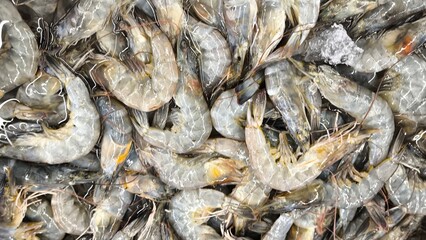 Fresh shrimp for cooking, food concept