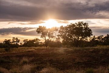 plains in the Australian outback