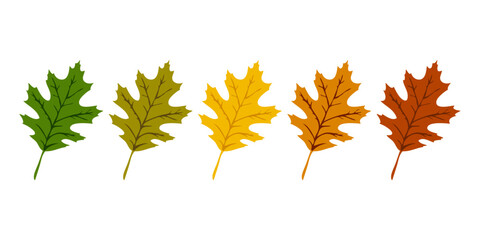 Fototapeta premium Logo con siluetas de hojas de roble en paleta de gradiente de colores. Concepto de cambio de temporada de otoño
