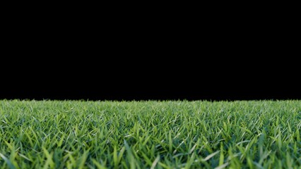green grass and flower on black background