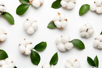 Autumn Floral Flat lay background composition. Dried white fluffy cotton flower branchwith green...