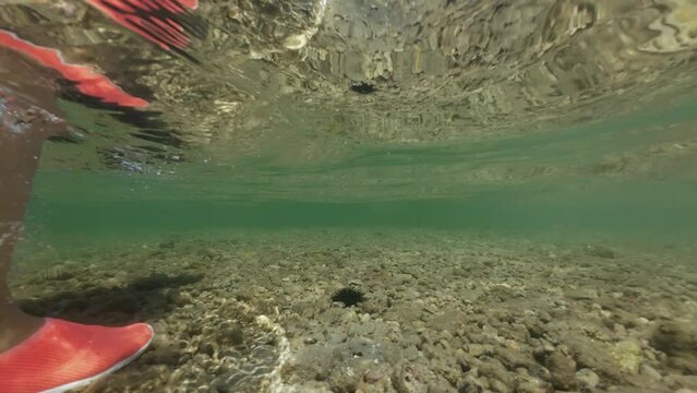 Underwater shot of a young woman wearing protective water shoes walking by a sea ​​urchins