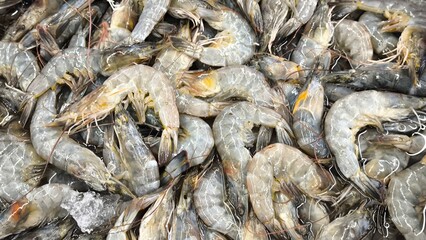 Fresh shrimp for cooking, food concept