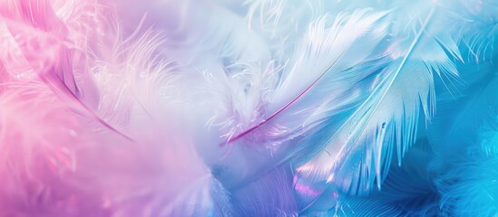 Obraz premium Feather Patterns in Multicolored Background with Soft White Fluffy Feather and Pastel Neon Mist.