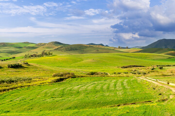 young spring field on hills of green rustic farmland with grass plants and garden. Countryside green spring or summer season landscape of farm with beautiful blue cloudy sky on background