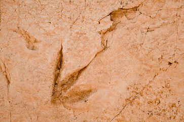 Trace, Ornithopus fabrei, Musée Parc des Dinosaures, 34140, Mèze, Hérault, France