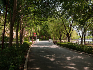 Fototapeta premium walking in the park, Changchun, China