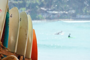 A row of surfboards for rent by the ocean on the tropical beach. Surfing rental copy space...