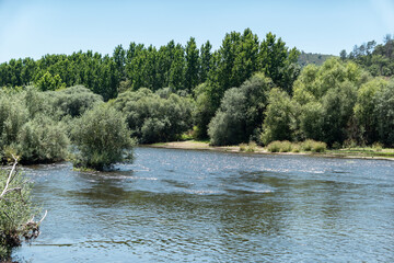 Entre árvores e um céu azul, um rio selvagem com toda a sua correnteza em Trás os Montes, Portugal