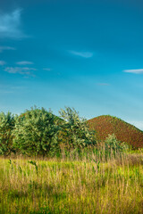 Fototapeta premium Hills on the quarry, one day in the summer . Beautiful landscape. Blue sky . Nature , woods and hills 